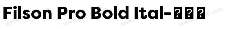 Filson Pro Bold Ital字体转换